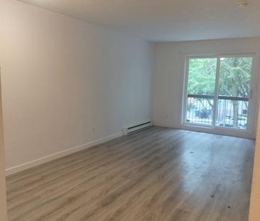 Appartement 1 chambre — 1 mois gratuit ! - Photo 1