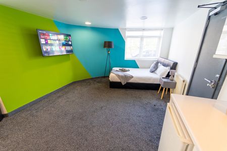 Studio Flat, Dale Road, B29 - Photo 4