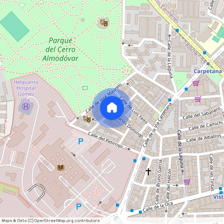 Calle de Picaza, Madrid, Community of Madrid 28047