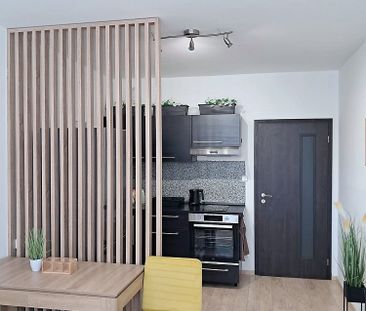 Pronájem bytu 1+kk 30 m² - Photo 6