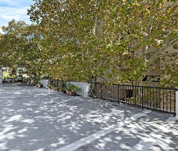19/7 St. Neot Avenue Potts Point - Photo 4