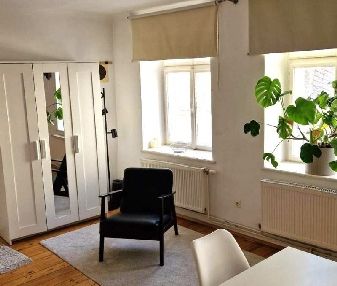 Entzückende Singlewohnung in Krems-Zentrum - Foto 3