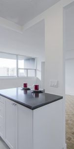 North Shore Towers - Photo 3