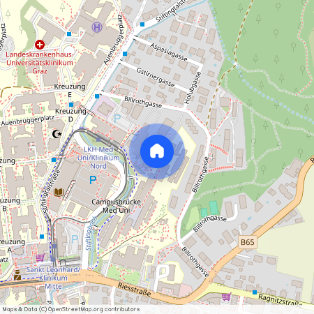 8010 Graz, Billrothgasse