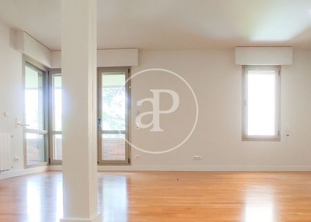 Flat for rent in La Moraleja (La Moraleja) - Photo 2