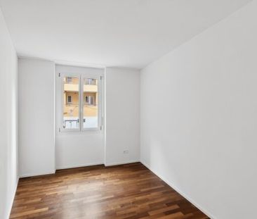 Modern apartment in the immediate vicinity of the Schaffhauserplatz - Photo 1