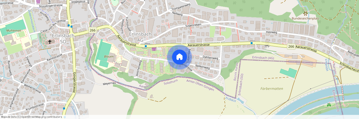 5018, Erlinsbach, Bläuenstrasse, 9