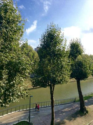 Coupure Links 385 201 - Photo 1