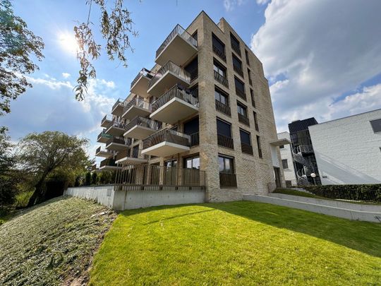 Te huur: Appartement Koningslaan in Rotterdam - Photo 1