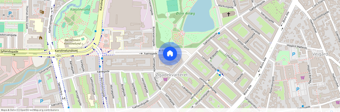 Fyensgade 54, 1. th., Aalborg