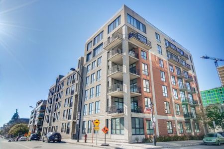 Nouveauté sur le marché Appartement à louer - Montréal (Ville-Marie) (Vieux-Montréal) - Photo 2