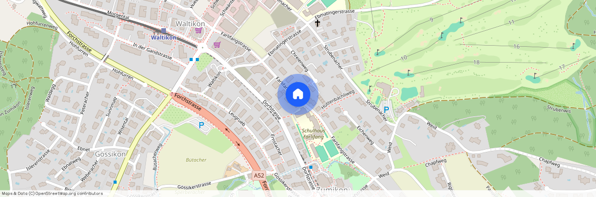 8126, Zumikon, Farlifangstrasse