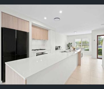 Light-Filled Contemporary Rental with Park Views! - Photo 5