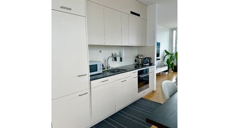 2½ Zimmer-Wohnung in Zürich - Kreis 9 Albisrieden, möbliert, auf Zeit - Photo 2