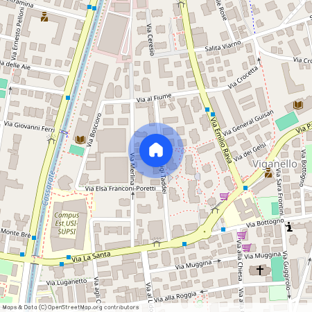 Via Luigi Taddei 11, 6962 Viganello