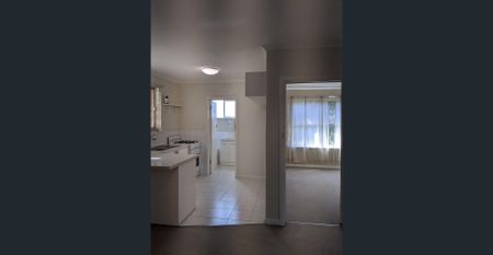 A Happening part of Town - Photo 5