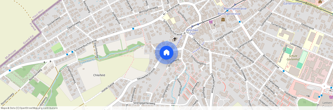 4123, Allschwil, Neuweilerstrasse, 23d