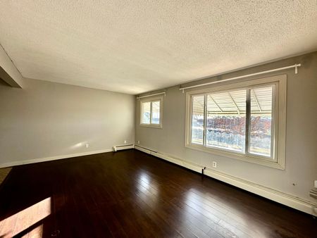 Killarney Manor 9108 127 Avenue NW - Photo 5