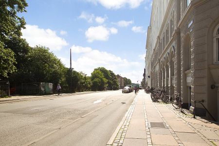 5 værelses Liebhaverbolig med storslået udsigt til Botanisk Have. - Photo 2