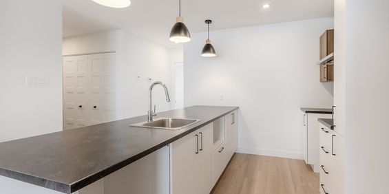 5 1/2 à Saint-Apollinaire - Photo 3