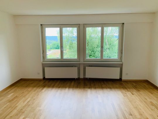 Rent a 4 ½ rooms apartment in Zumikon - Photo 1