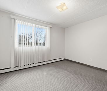 For Lease - 19 Manchester Avenue Unit# 101, St. Catharines, Ontario - Photo 6