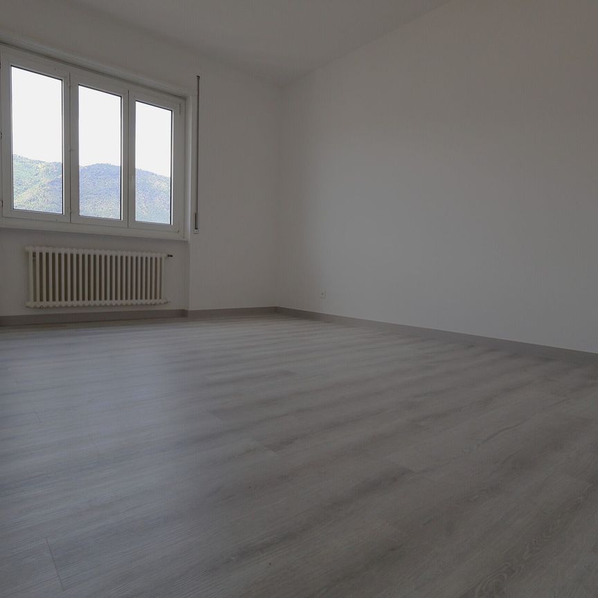 Luminoso 3.5 locali a Chiasso RISTRUTTURATO zona tranquilla - Photo 1