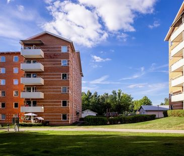 Plogvägen 107 - Photo 6