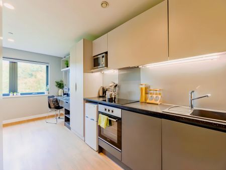 Penthouse Studio - Photo 5