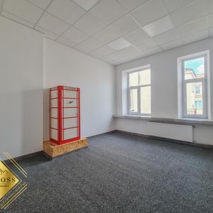 Śródmieście / lokal użytkowy / łazienka na klucz - Zdjęcie 2