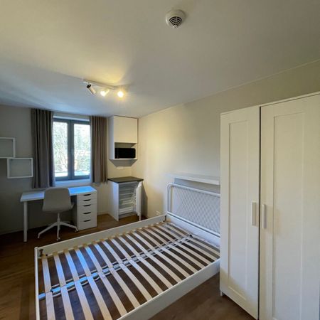 Luxueus studeren in Leuven! - Foto 3