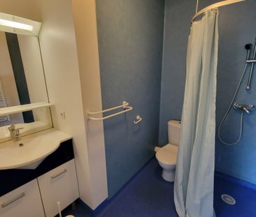 Location Appartement 1 pièce 21m² PESSAC 33600 - Photo 3