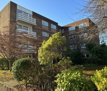 4 bedroom penthouse to rent - Photo 2