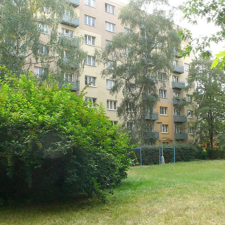 Pronájem bytu 1+1 43 m² - Photo 1
