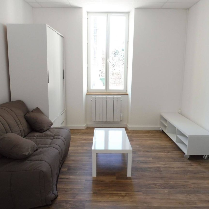 Location appartement 1 pièce 19.5 m² à Vals-les-Bains (07600) - Photo 1