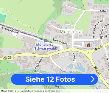 Schwarzwaldpanorama inklusive - Foto 1