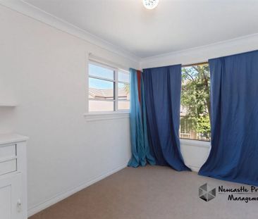 59 Lorna Street, Waratah - Photo 2