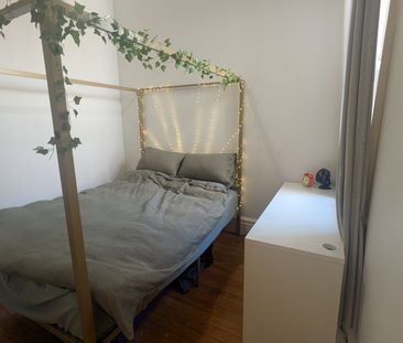 Camperdown - Photo 6