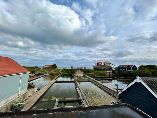 Benedenwoning Grintweg, Yerseke huren? - Foto 1