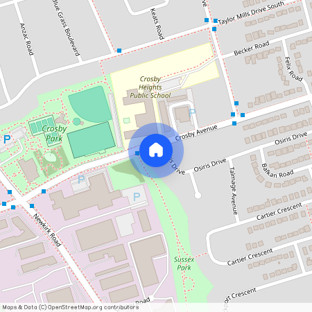 302 Crosby Avenue #Main, Richmond Hill, Crosby