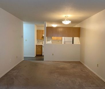 MAYFAIR VILLAGE WEST 1BD/1BA - Photo 5