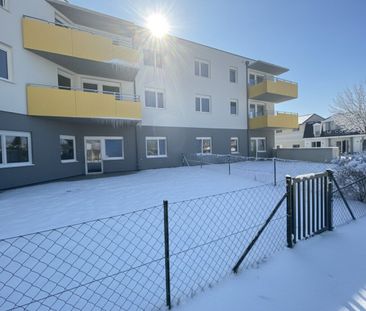 ERSTBEZUG „ein viertel grün“ in Wiener Neustadt - zentral gelegene ... - Photo 4