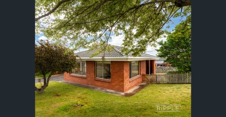 Charming 2 bedroom unit - Photo 3