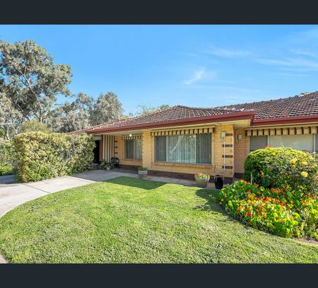 7/60 Burlington Street, Walkerville, SA 5081 - Photo 3