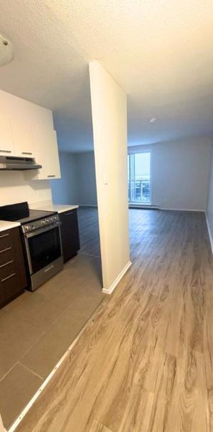 1 CH - 1 SDB - Gatineau - $1,249 /mo - Photo 1