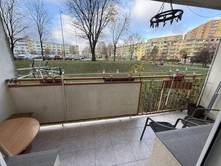 (Symbol 437162) - Zdjęcie 4