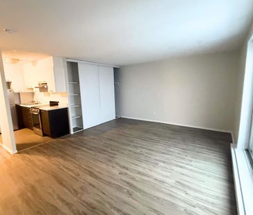 1 CH - 1 SDB - Gatineau - $1,195 /mo - Photo 3
