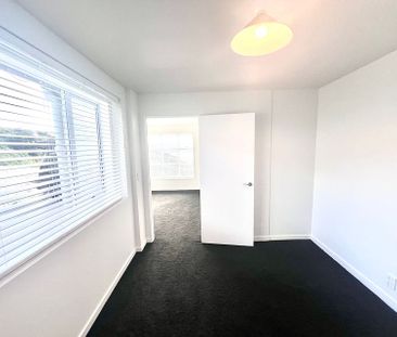 Sunny bright & newly renovated - Photo 2