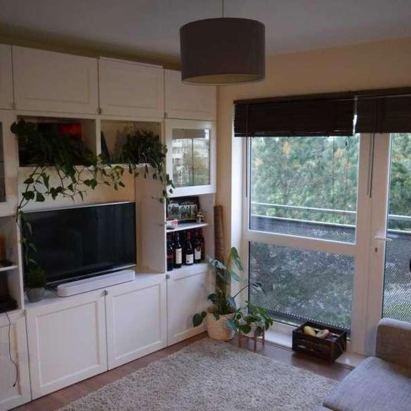 Spectre Court, Hatfield, AL10 - Photo 1