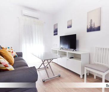 Avenida Alvar Núñez, Sevilla, Andalusia 41010 - Photo 2